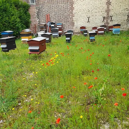 Danton Apartment Troyes