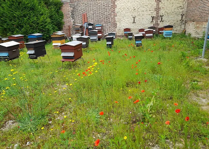 Danton Appartement Troyes